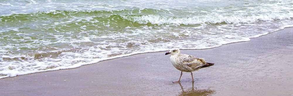 Wellness erleben im Norden und an der Küste Pure Entspannung an der Nordsee und auf den ostfriesischen Inseln
